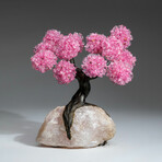 Rose Quartz Gemstone Tree on Rose Quartz VI // The Eternal Love Tree // 4.2 lb