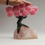 Rose Quartz Gemstone Tree on Rose Quartz II // The Eternal Love Tree // 6.6 lb