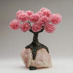 Rose Quartz Gemstone Tree on Rose Quartz III // The Eternal Love Tree // 6.8 lb