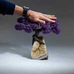 Amethyst Gemstone Tree on Citrine Matrix I // The Empowerment Tree // 6.2 lb