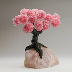 Rose Quartz Gemstone Tree on Rose Quartz II // The Eternal Love Tree // 6.6 lb