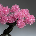 Rose Quartz Gemstone Tree on Rose Quartz // The Eternal Love Tree // 4.1 lb