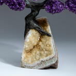 Amethyst Gemstone Tree on Citrine Matrix I // The Empowerment Tree // 6.2 lb