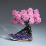 Rose Quartz Gemstone Tree on Amethyst Matrix I // The Love Tree // 5.6 lb