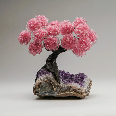 Rose Quartz Gemstone Tree on Amethyst Matrix // The Love Tree // 7.1 lb