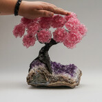 Rose Quartz Gemstone Tree on Amethyst Matrix // The Love Tree // 7.1 lb