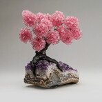 Rose Quartz Gemstone Tree on Amethyst Matrix // The Love Tree // 7.1 lb