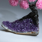 Rose Quartz Gemstone Tree on Amethyst Matrix I // The Love Tree // 5.6 lb