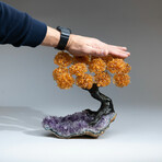 Citrine Gemstone Tree on Amethyst Matrix // The Money Tree // 5 lb