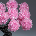 Rose Quartz Gemstone Tree on Amethyst Matrix I // The Love Tree // 5.6 lb