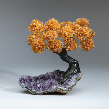 Citrine Gemstone Tree on Amethyst Matrix // The Money Tree // 5 lb