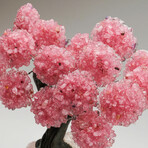 Rose Quartz Gemstone Tree on Rose Quartz III // The Eternal Love Tree // 6.8 lb