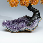 Citrine Gemstone Tree on Amethyst Matrix // The Money Tree // 5 lb