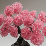 Rose Quartz Gemstone Tree on Amethyst Matrix // The Love Tree // 7.1 lb