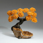 Citrine Gemstone Tree on Citrine Matrix // The Calming Tree // 3 lb