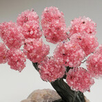 Rose Quartz Gemstone Tree on Rose Quartz IV // The Eternal Love Tree // 5.8 lb