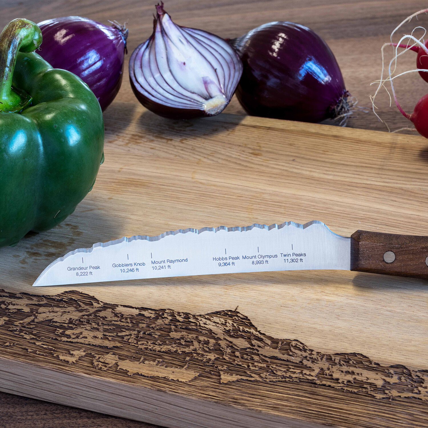 Universal Knife // DenverFront Range Panorama Swiss Knives Touch