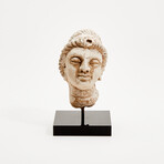 Indus Valley Stucco Head // 4th - 5th Century AD