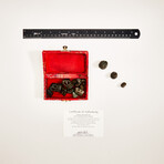 18 Burmese Elephant Opium Weights // 1800's AD