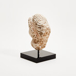 Indus Valley Stucco Head // 4th - 5th Century AD