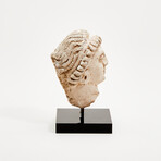 Indus Valley Stucco Head // 4th - 5th Century AD