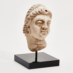 Indus Valley Stucco Head // 4th - 5th Century AD