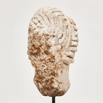 Indus Valley Stucco Head // 4th - 5th Century AD