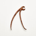 Dentist/Dental Tooth Extraction Forcep // 18th Century