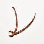 Dentist/Dental Tooth Extraction Forcep // 18th Century