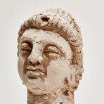 Indus Valley Stucco Head // 4th - 5th Century AD