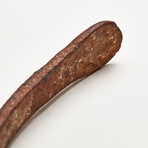 Dentist/Dental Tooth Extraction Forcep // 18th Century