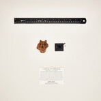 Ancient God or Shaman Whistle // 400 BC to 100 AD Mexico