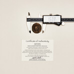 Nero Huge Roman Coin // 65 AD