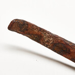 Dentist/Dental Tooth Extraction Forcep // 18th Century