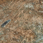 Chinese Ming Dynasty Mirror // 1368 - 1644 AD