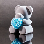 Teddy Blossom // Celestial Blue