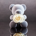 Teddy Blossom // White Pearl