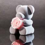 Teddy Blossom // Pink Blossom