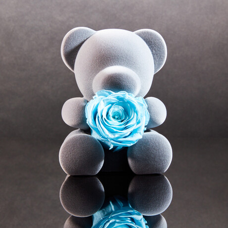 Teddy Blossom // Celestial Blue