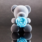 Teddy Blossom // Celestial Blue