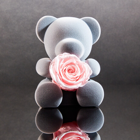 Teddy Blossom // Pink Blossom