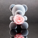 Teddy Blossom // Pink Blossom