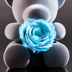 Teddy Blossom // Celestial Blue