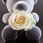 Teddy Blossom // White Pearl