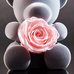 Teddy Blossom // Pink Blossom