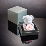 Teddy Blossom // Pink Blossom