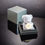 Teddy Blossom // White Pearl