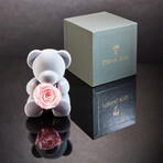 Teddy Blossom // Pink Blossom