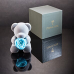 Teddy Blossom // Celestial Blue