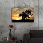 Everglades Sunrise by Mike Jones (12"H x 16"W x 0.13"D)